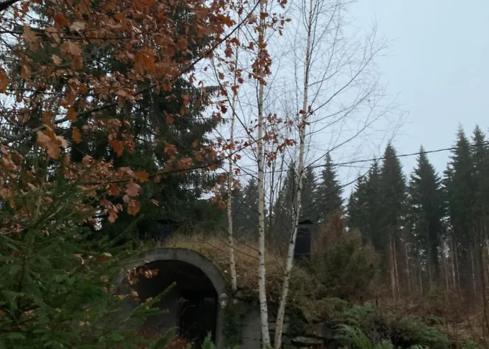 Viihtyisae Savonlinnan Lehtiniemessae * Savonlinna